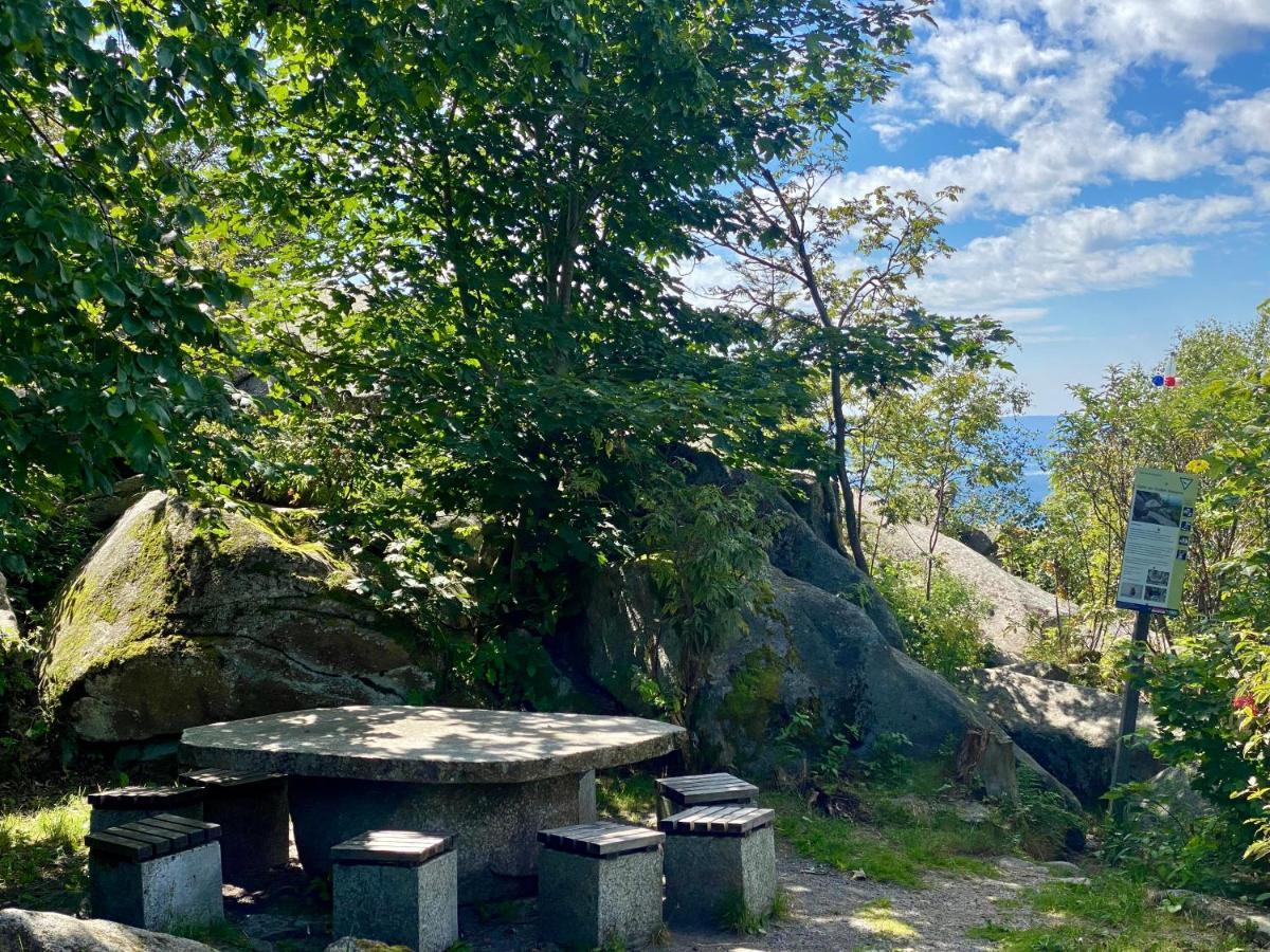 Ferienwohnung Oxana Im Naturpark Fichtelgebirge Schonwald  Buitenkant foto