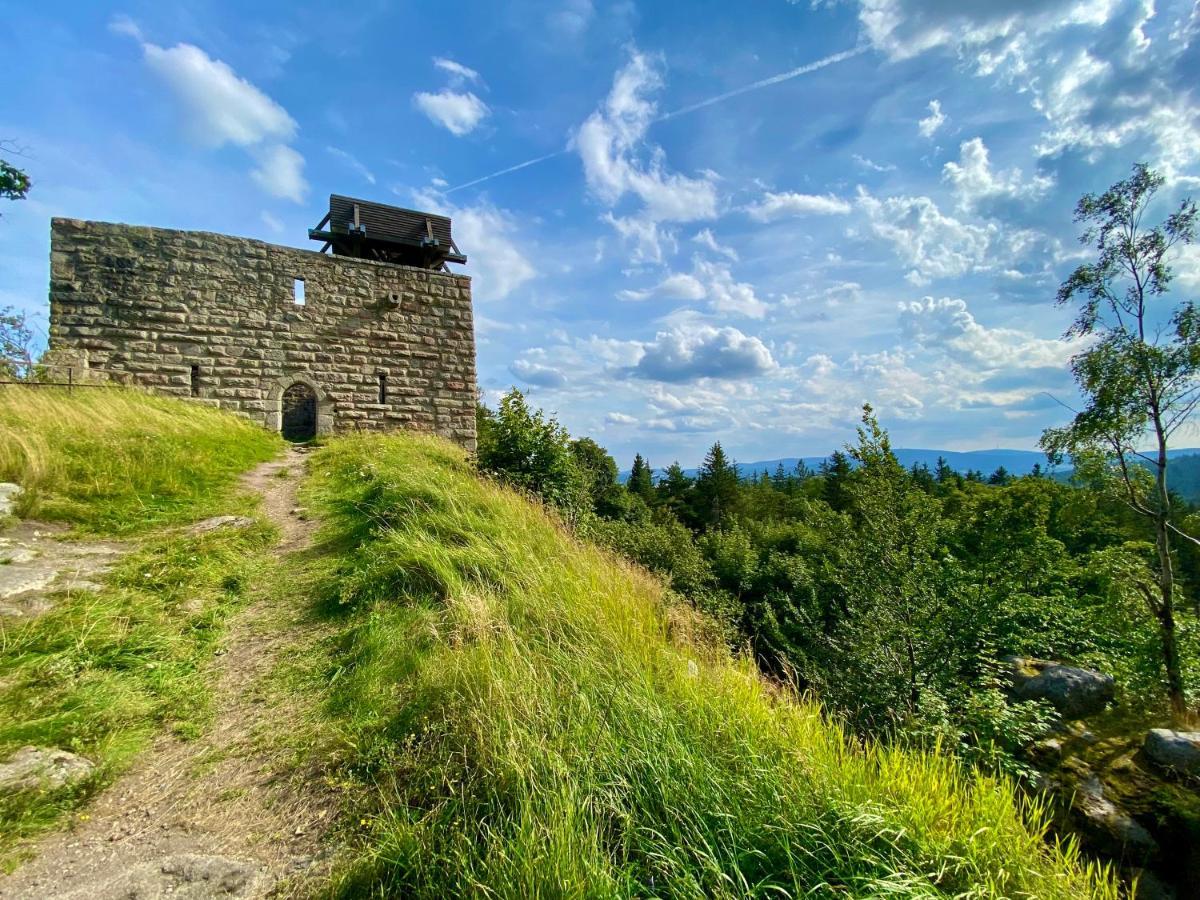 Ferienwohnung Oxana Im Naturpark Fichtelgebirge Schonwald  Buitenkant foto