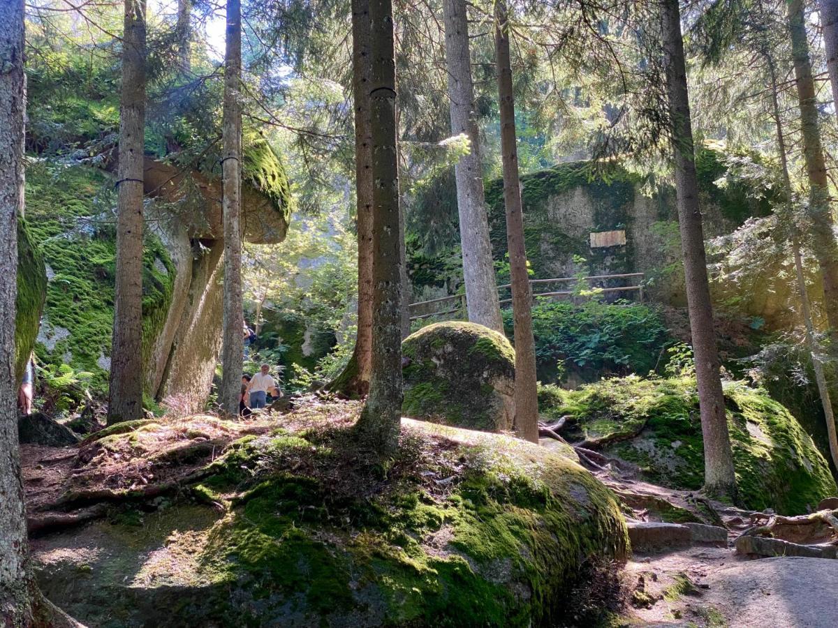 Ferienwohnung Oxana Im Naturpark Fichtelgebirge Schonwald  Buitenkant foto