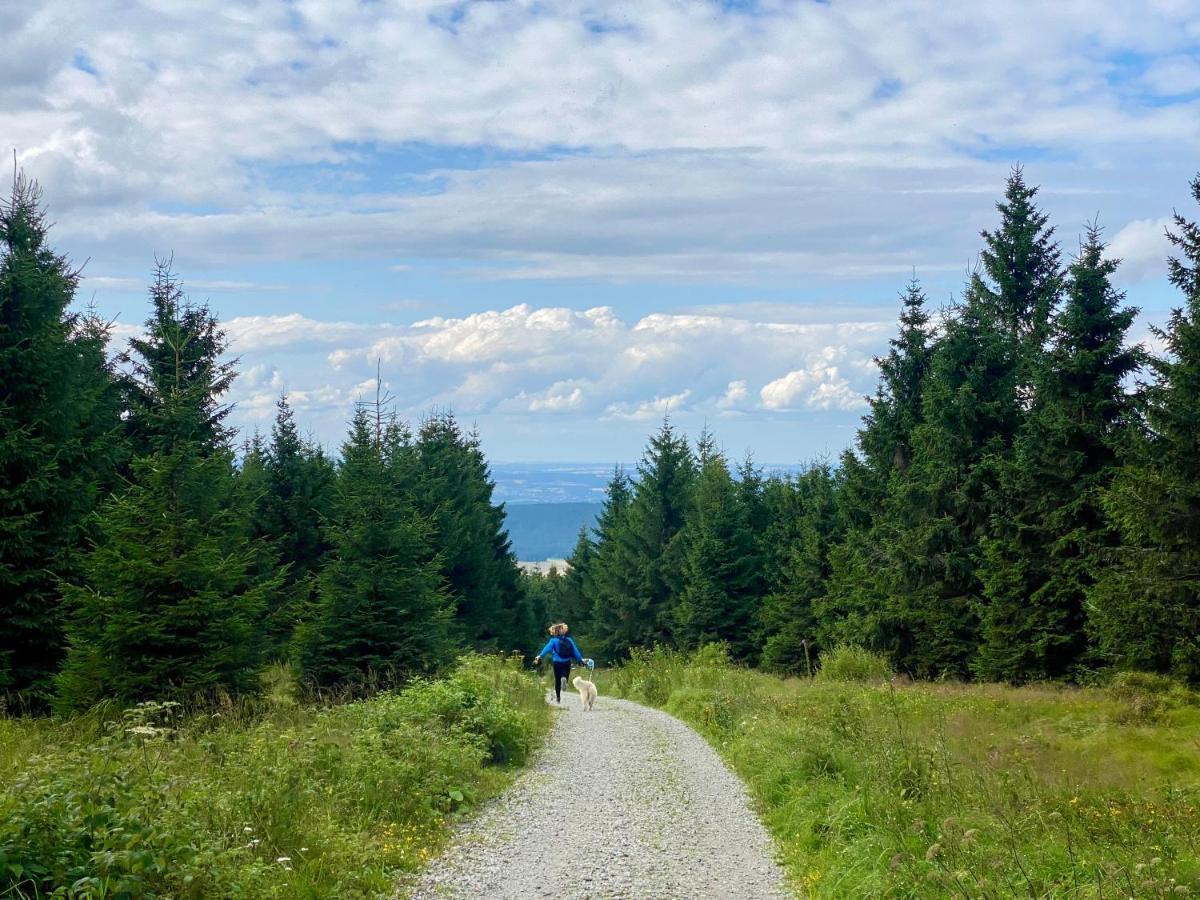 Ferienwohnung Oxana Im Naturpark Fichtelgebirge Schonwald  Buitenkant foto