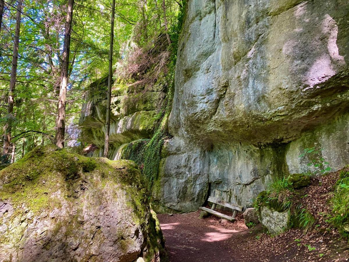 Ferienwohnung Oxana Im Naturpark Fichtelgebirge Schonwald  Buitenkant foto