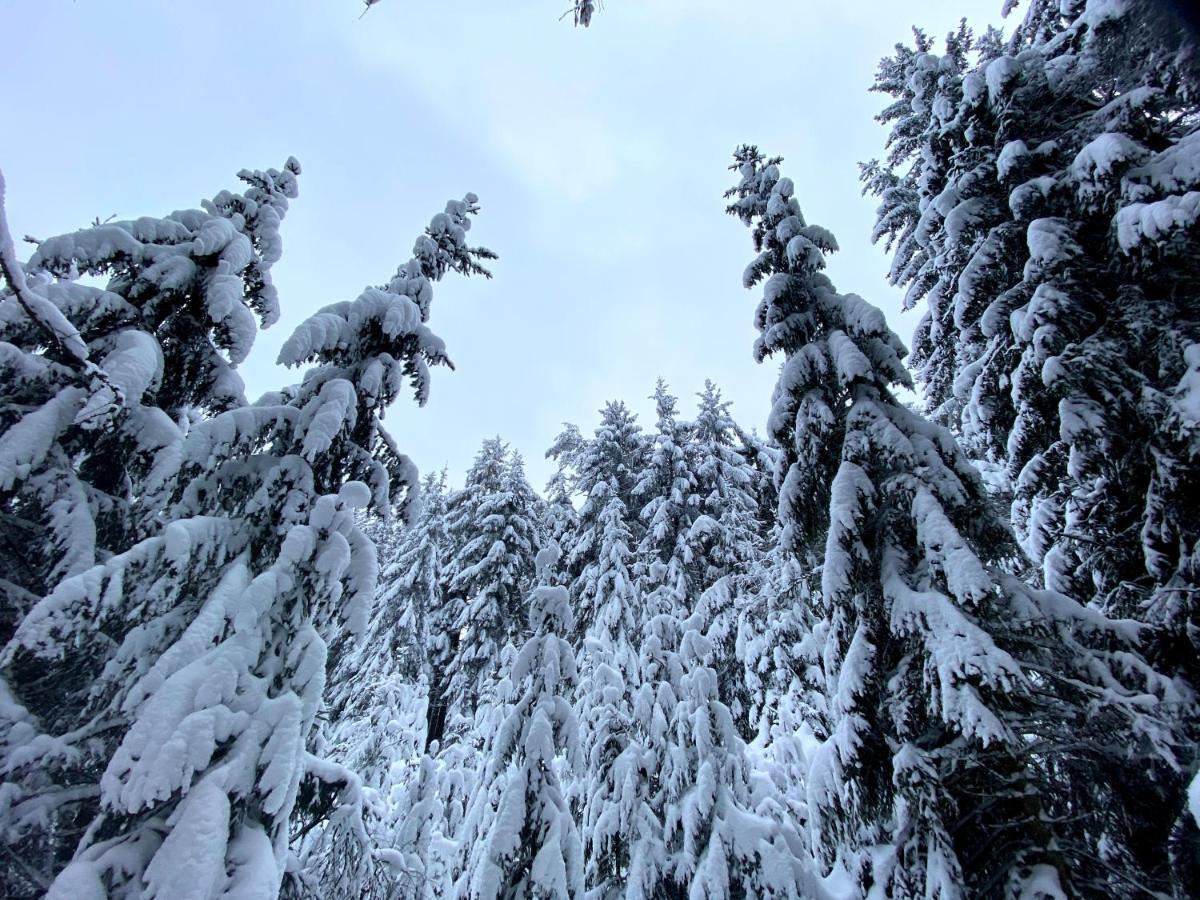Ferienwohnung Oxana Im Naturpark Fichtelgebirge Schonwald  Buitenkant foto