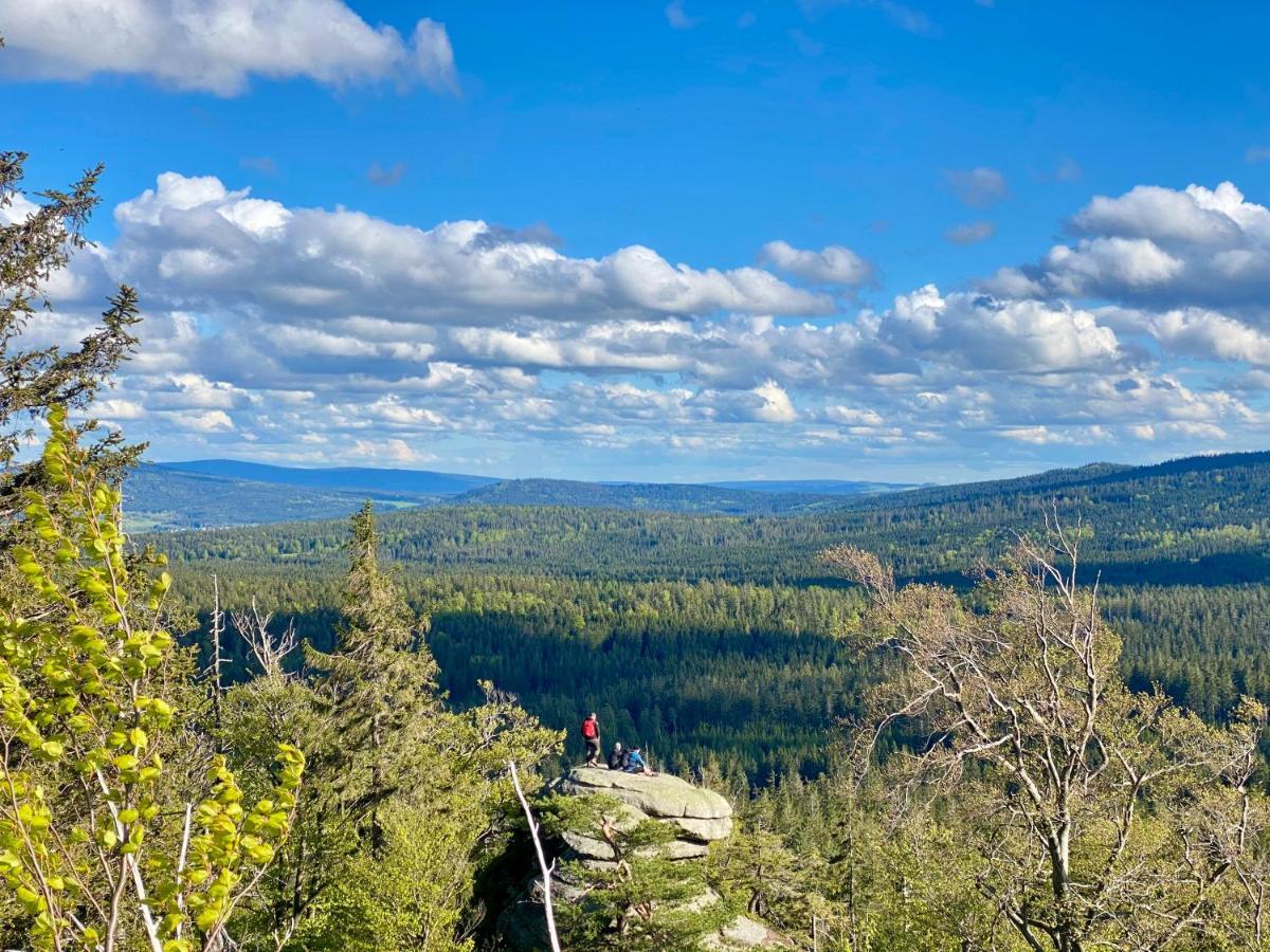 Ferienwohnung Oxana Im Naturpark Fichtelgebirge Schonwald  Buitenkant foto