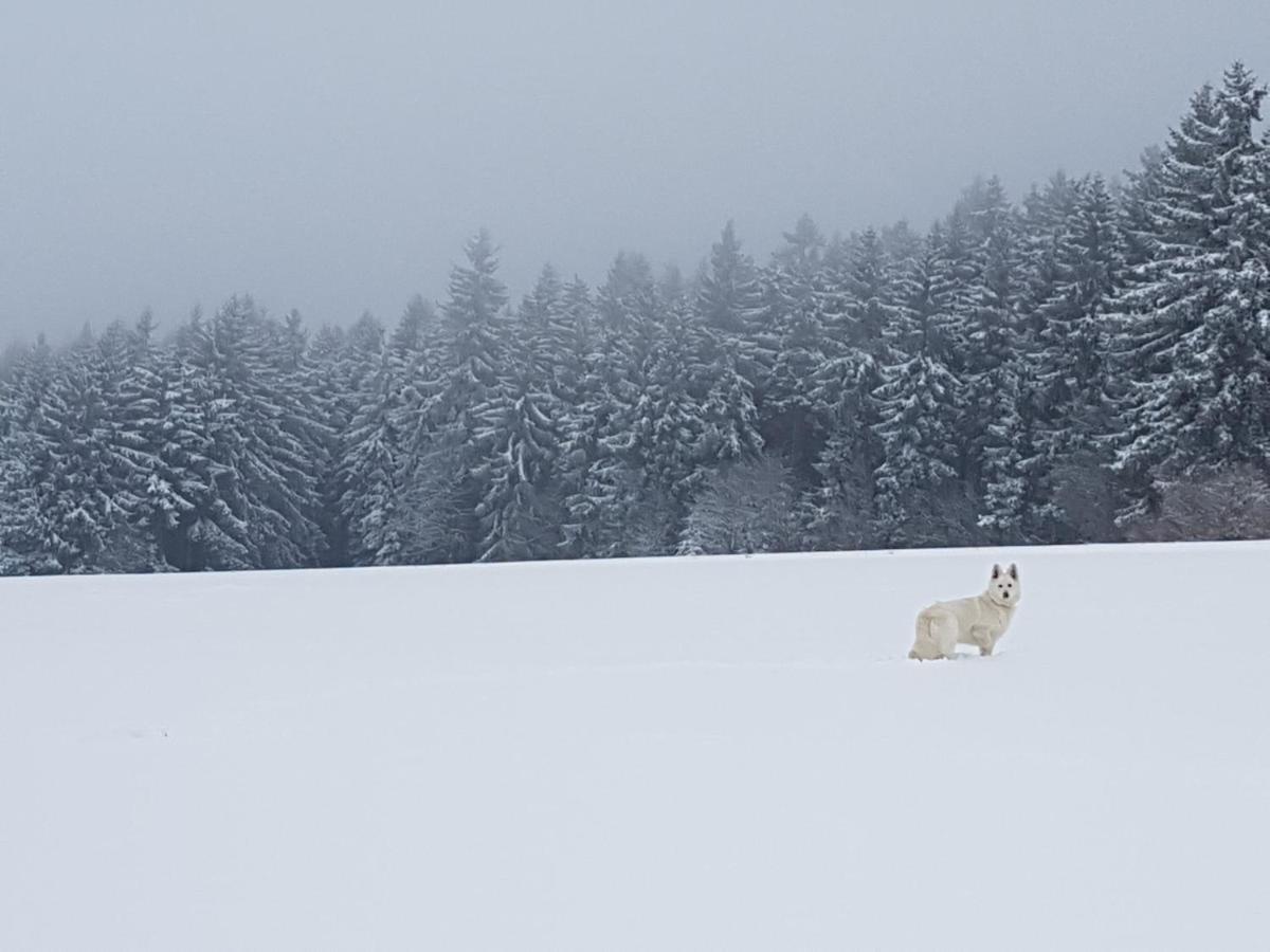Ferienwohnung Oxana Im Naturpark Fichtelgebirge Schonwald  Buitenkant foto