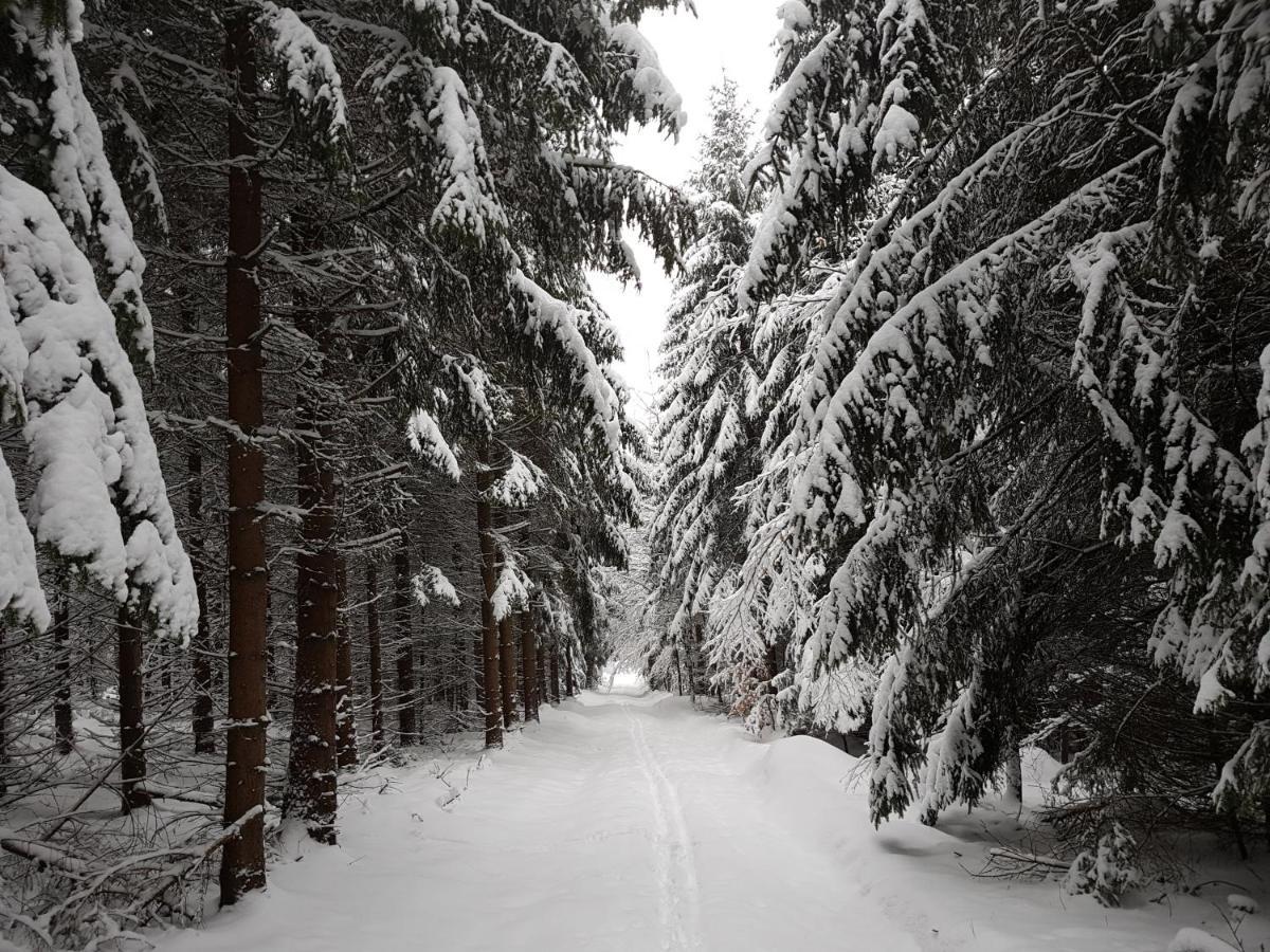 Ferienwohnung Oxana Im Naturpark Fichtelgebirge Schonwald  Buitenkant foto