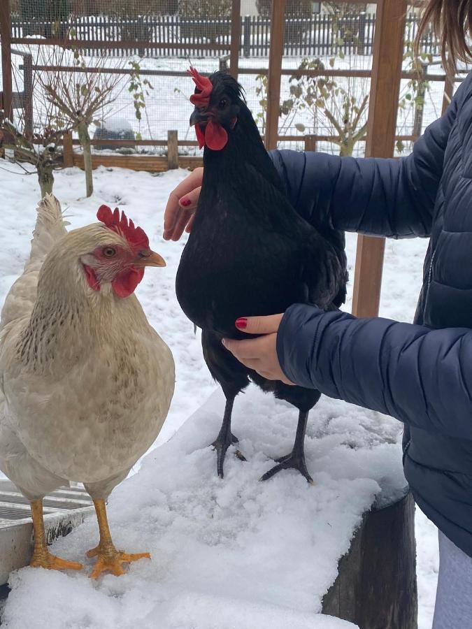 Ferienwohnung Oxana Im Naturpark Fichtelgebirge Schonwald  Buitenkant foto